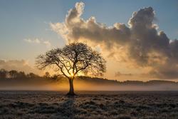 Menopausa precoce: la perdita di desiderio può essere un sintomo di allarme